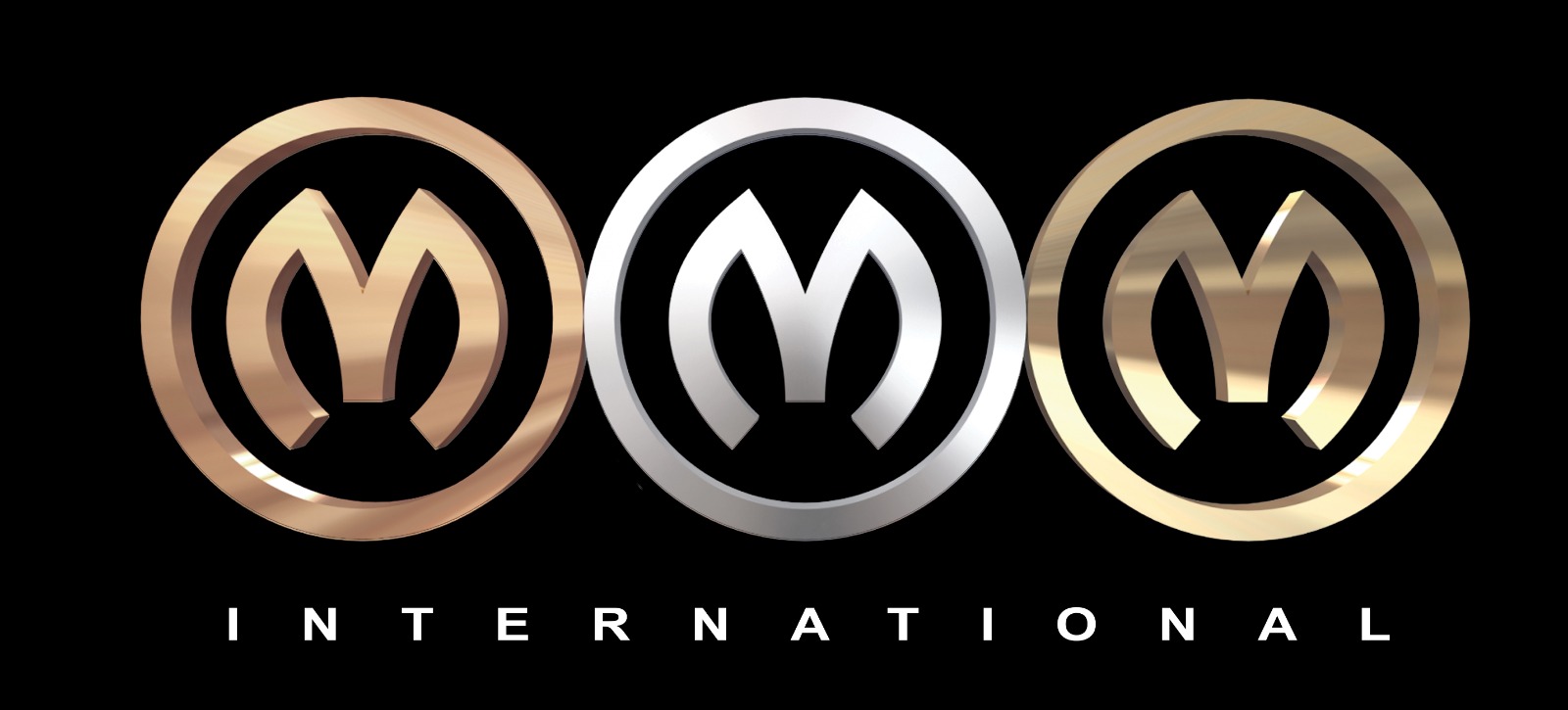 Partner Logo 13